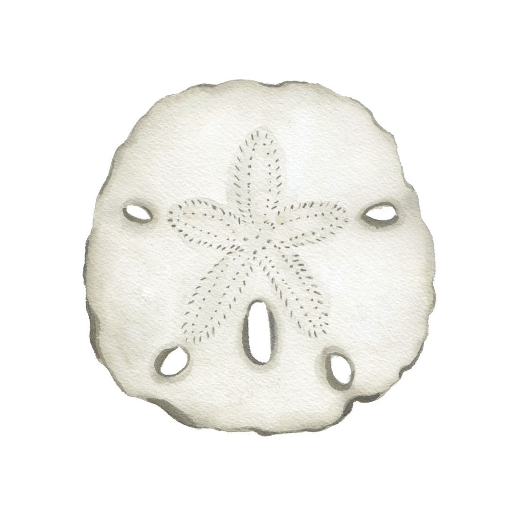 CCRT-030 Sand Dollar Mini | 0.50" Acrylic Cutout |
