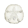 CCRT-015 Sand Dollar | 0.75" Acrylic Cutout | Case Bundle of 25