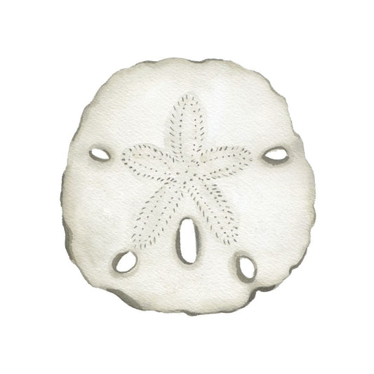 CCRT-015 Sand Dollar | 0.75" Acrylic Cutout |