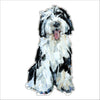 Sheepadoodle2 | 0.50in. Acrylic Mini | Case of 25