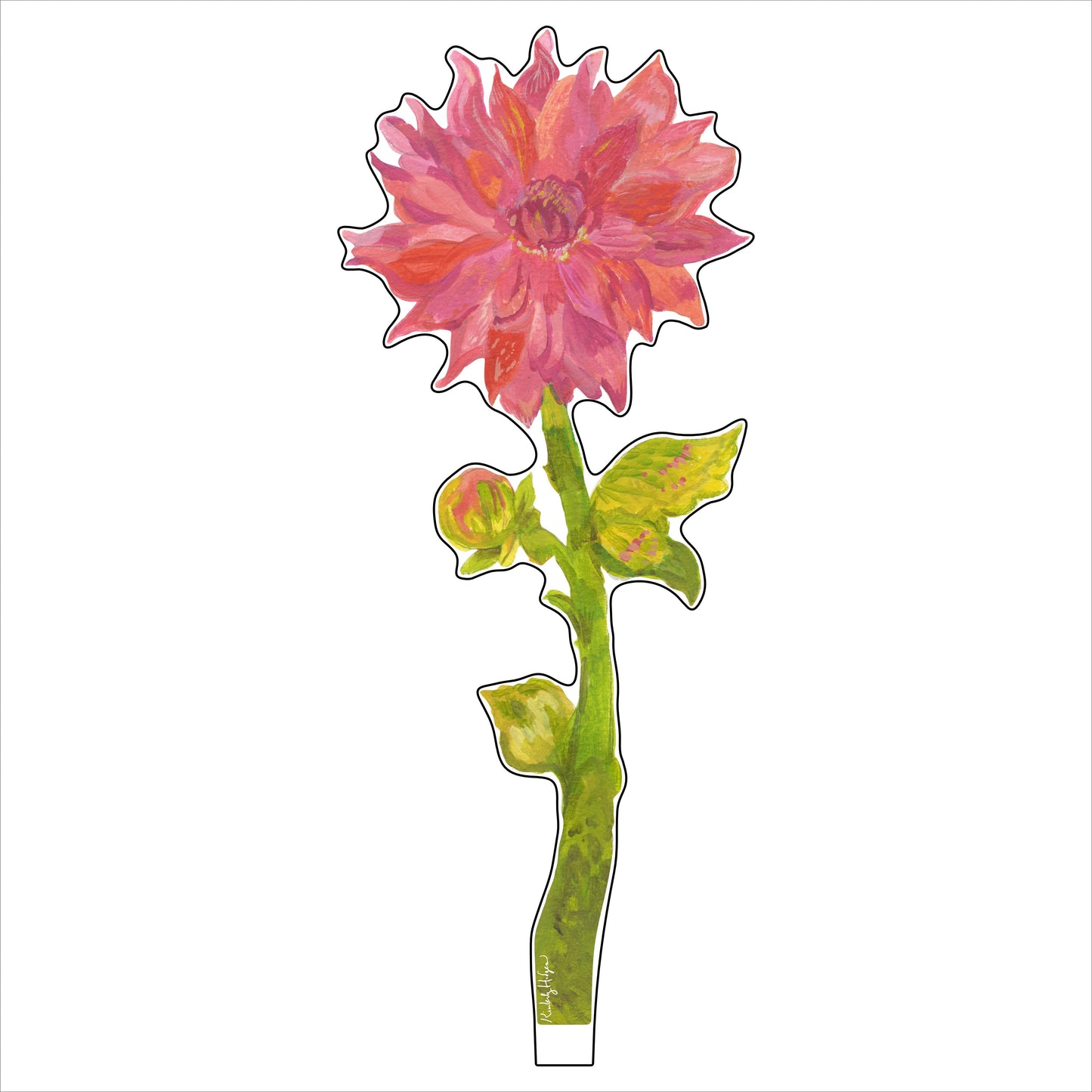 Sonic Bloom Dahlia | 0.25in. Acrylic Floral