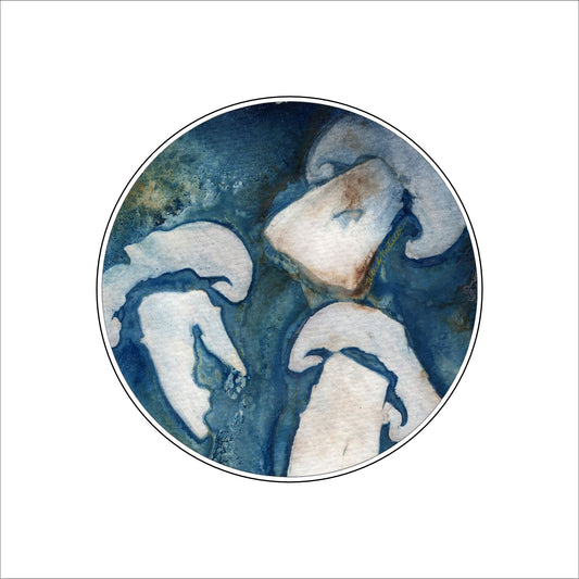 WMA-011 Shrooms | 0.25in. Acrylic Coaster | Set of 4