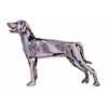 Weimaraner | 0.75in. Acrylic Shelfie | Case of 25