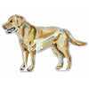 Yellow Lab | 0.75in. Acrylic Shelfie | Case of 25