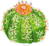 Turk's Cap Cactus | 0.25in. Acrylic Floral