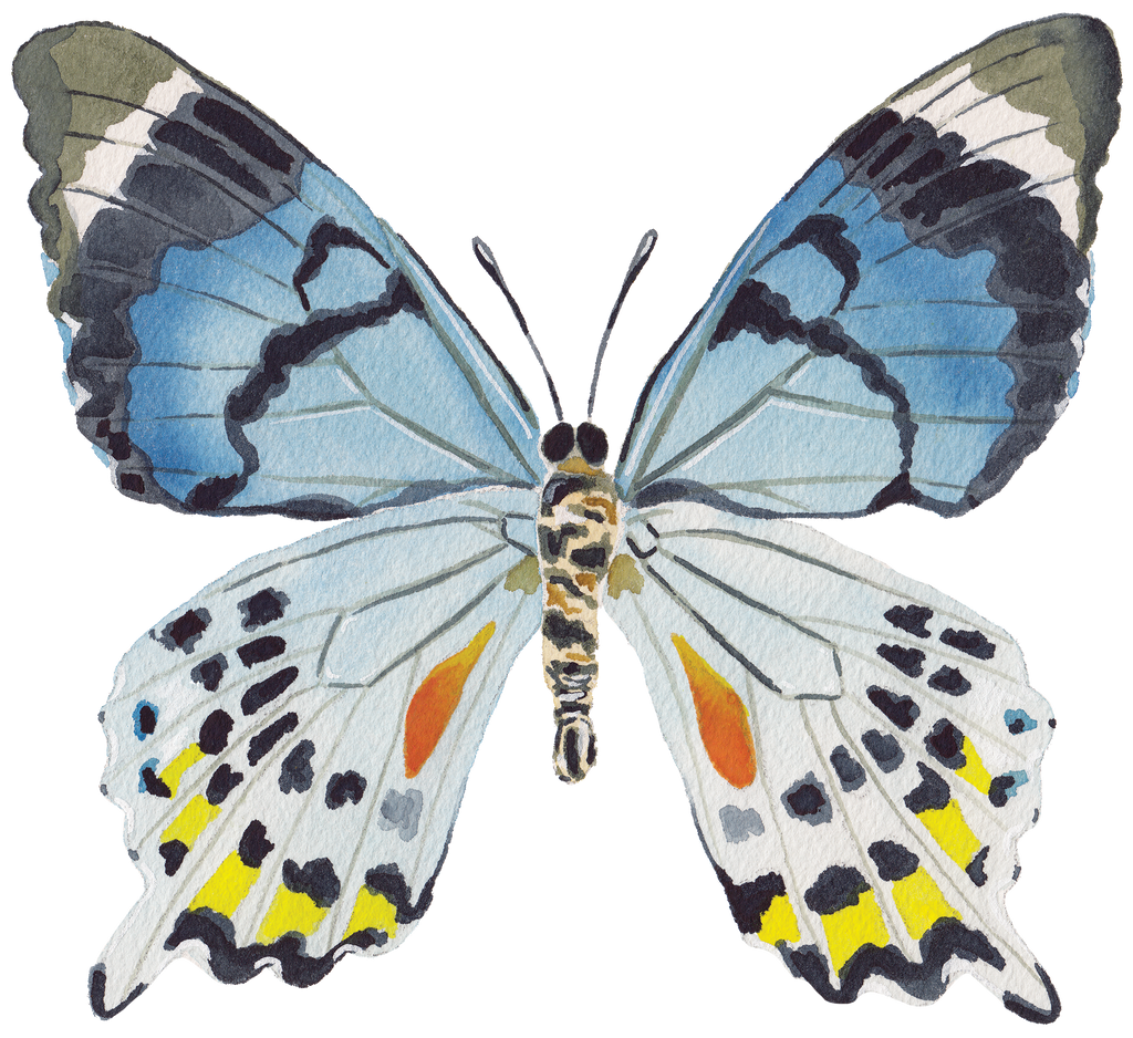 CCRT-058 Butterfly Blue Mini | 0.50" Acrylic Cutout | Case Bundle of 25