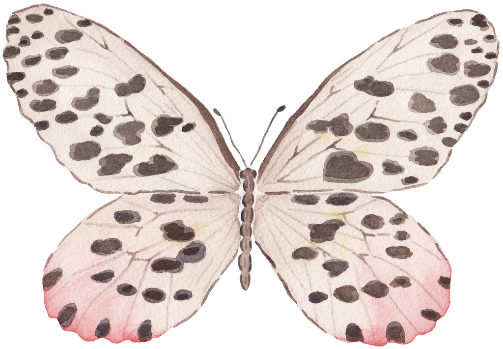 CCRT-060 Butterfly Rose Mini | 0.50" Acrylic Cutout | Case Bundle of 25