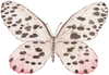CCRT-059 Butterfly Rose | 0.75" Acrylic Cutout | Case Bundle of 25