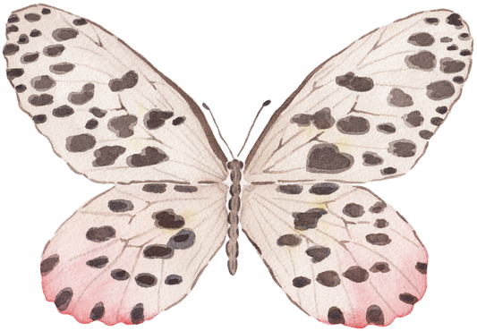 CCRT-059 Butterfly Rose | 0.75" Acrylic Cutout |