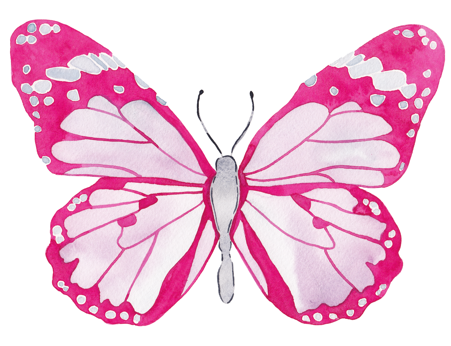 CCRT-062 Butterfly Hot Pink Mini | 0.50" Acrylic Cutout | Case Bundle of 25