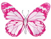 CCRT-062 Butterfly Hot Pink Mini | 0.50" Acrylic Cutout | Case Bundle of 25
