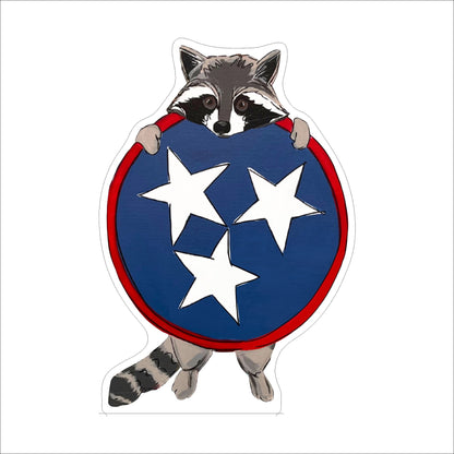 AHM-035 TN Racoon | 0.75Acrylic Contour |