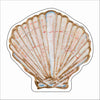 LFA-245 Seashell | 0.75Acrylic Contour