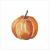 TBPC-023 Tall Pumpkin | 0.75Acrylic Contour |
