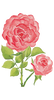 CCRT-064 Pink Rose | 0.75in. Acrylic Contour | Case Bundle of 25