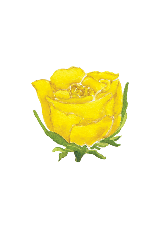 CCRT-063 Yellow Rose | 0.50in. Acrylic Contour |